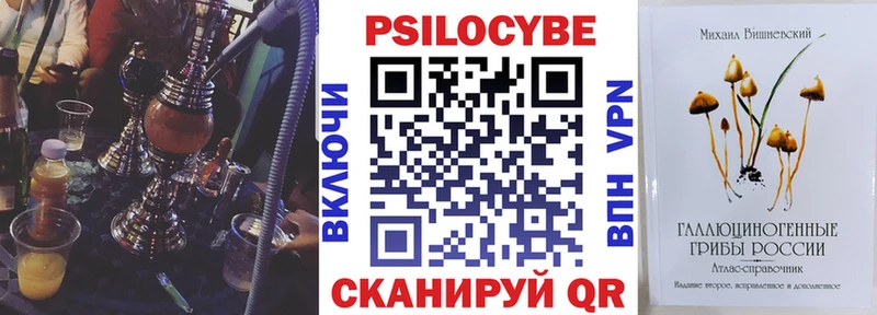 площадка формула  Терек  Псилоцибиновые грибы Psilocybine cubensis 