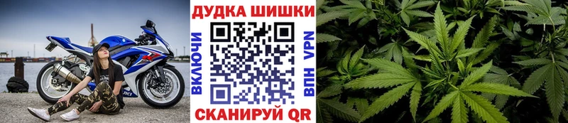 Бошки марихуана планчик  Терек 